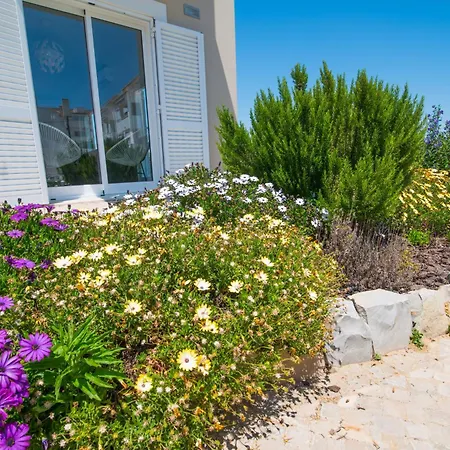 House Of Trees By Algartur Villa Cabanas De Tavira